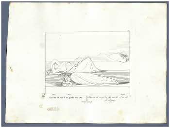 Visualizza l'immagine "Albo D 278, tav. 75"